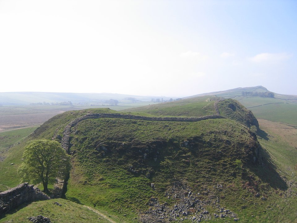 28 Years Later | Sycamore Gap — A Tree That Had to Be Rebuilt in Pixels
