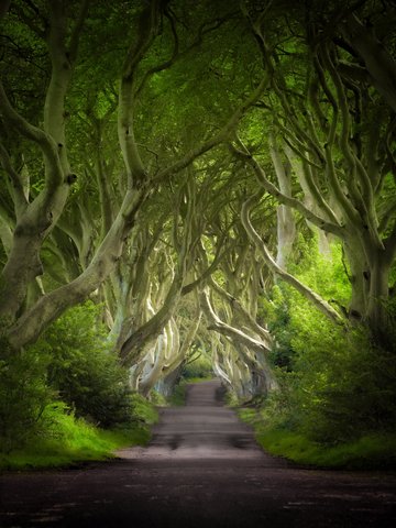 Game of Thrones | The Dark He…