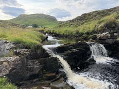 Elphin - the green bowl 