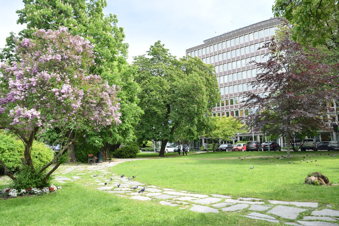 Biography|Anders Danielsson — The Oslo Tower He Was Sent to Turn Around