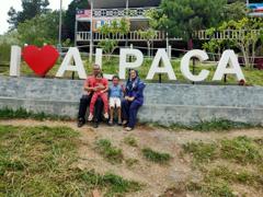Visiting Kundasang Alpaca Clu…