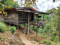 Experiencing Fresh Durians fr…