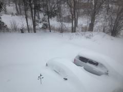 485 Main Street Memories- var…